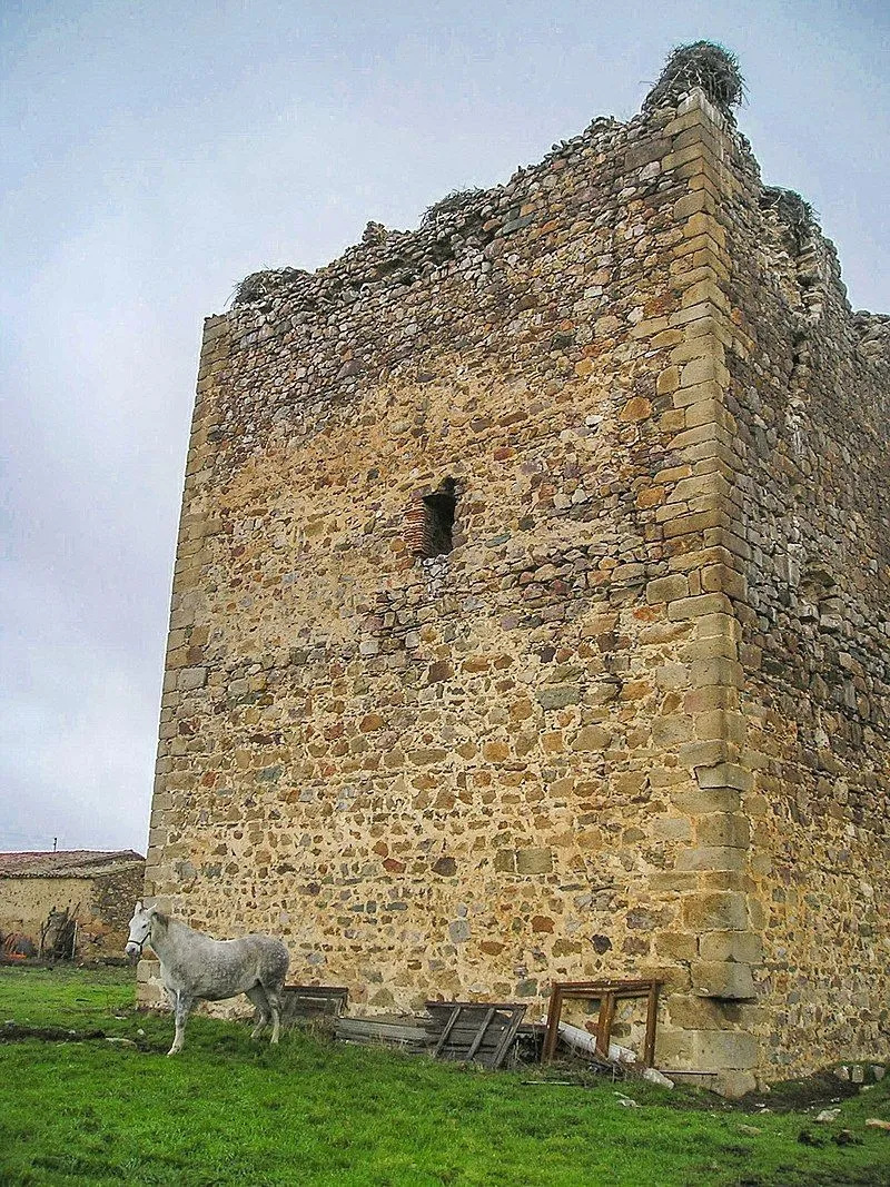 Castillo de Tamames, que presenta defectos estructurales y riesgo de derrumbes - Hispania Nostra