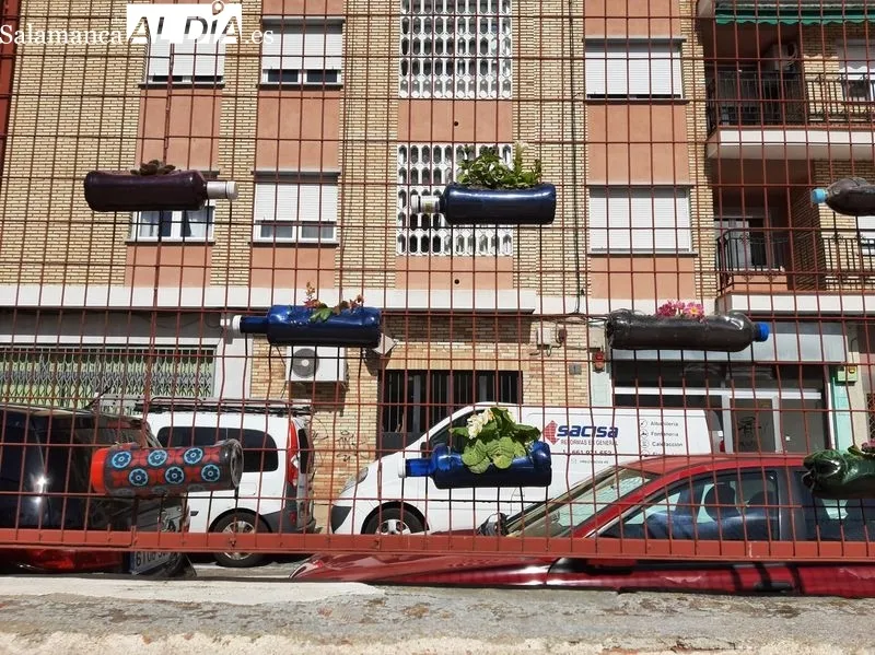 Jardineras caseras, diseñadas por los alumnos del CEIP Padre Manjón, en el patio de este colegio