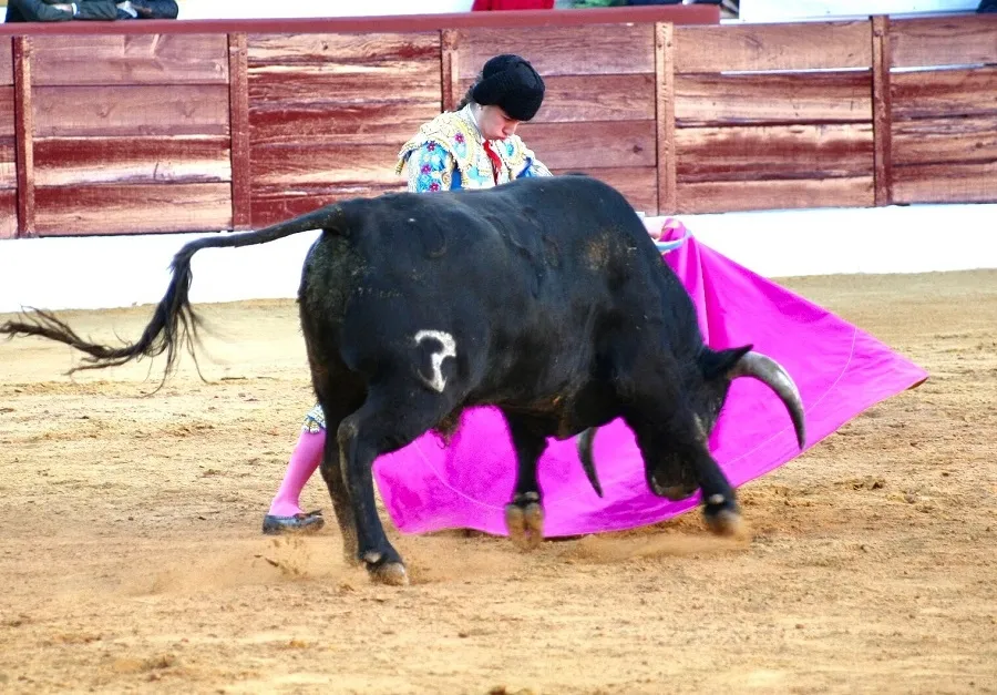 Foto 6 - Raza de Raquel Mart&iacute;n en un debut de arrojo y triunfo