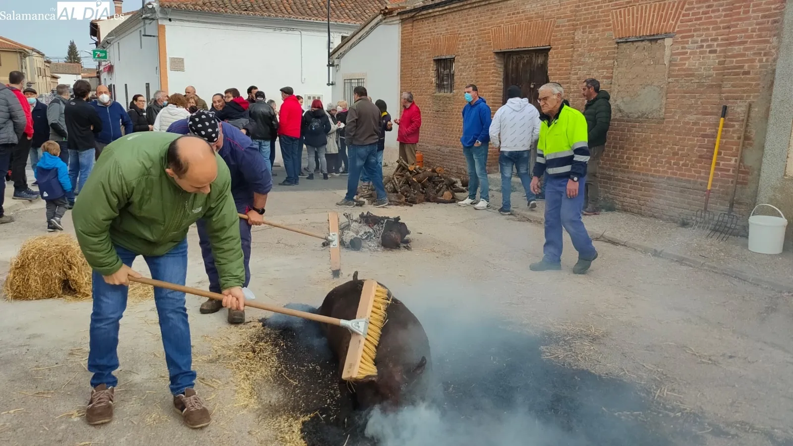 Mancera de Abajo ha celebrado su 4ª Matanza Tradicional