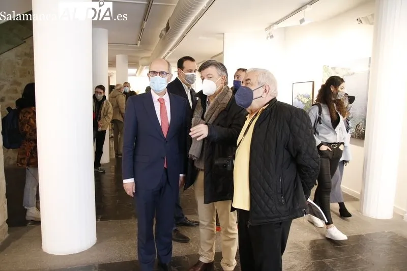 Exposición 'Arte salmantino en tiempos de pandemia', en La Salina. Foto de David Sañudo