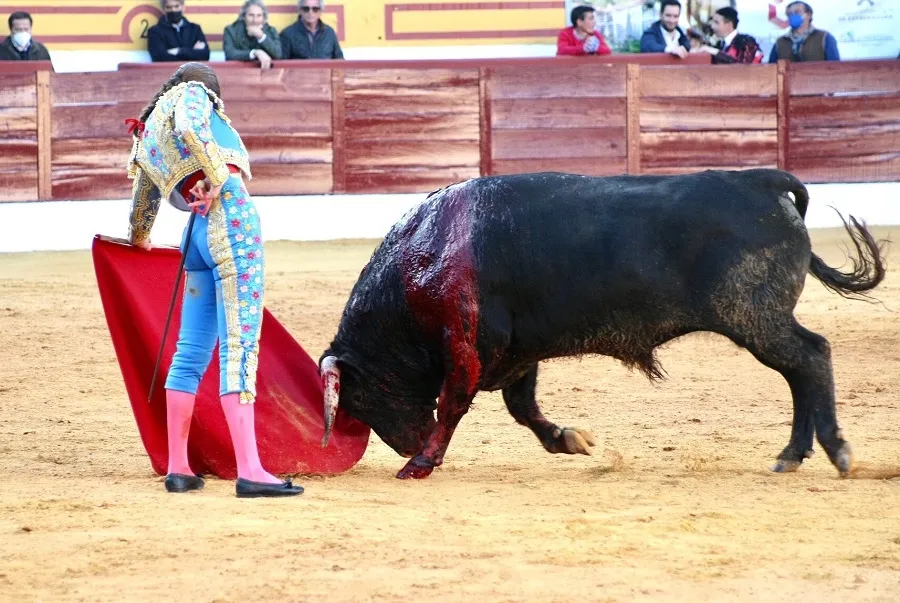 Foto 5 - Raza de Raquel Mart&iacute;n en un debut de arrojo y triunfo