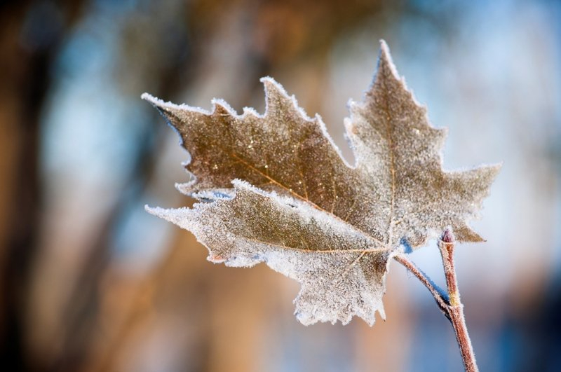 Salamanca, en aviso amarillo este sábado por frío y heladas 