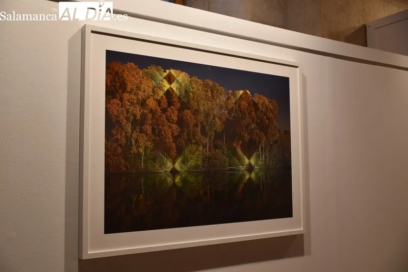 Foto 18 - &lsquo;&Aacute;rboles Blancos&rsquo;, la exposici&oacute;n que inaugura la Semana del Jap&oacute;n en Salamanca 