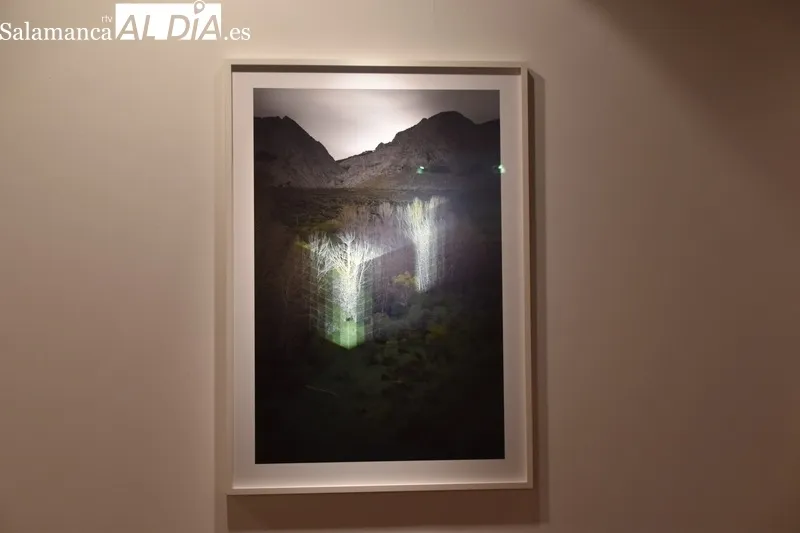 Foto 17 - &lsquo;&Aacute;rboles Blancos&rsquo;, la exposici&oacute;n que inaugura la Semana del Jap&oacute;n en Salamanca 