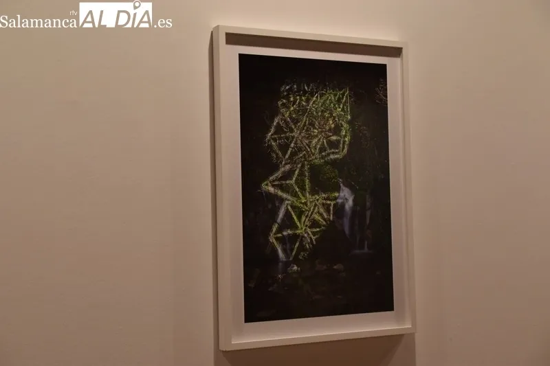 Foto 16 - &lsquo;&Aacute;rboles Blancos&rsquo;, la exposici&oacute;n que inaugura la Semana del Jap&oacute;n en Salamanca 