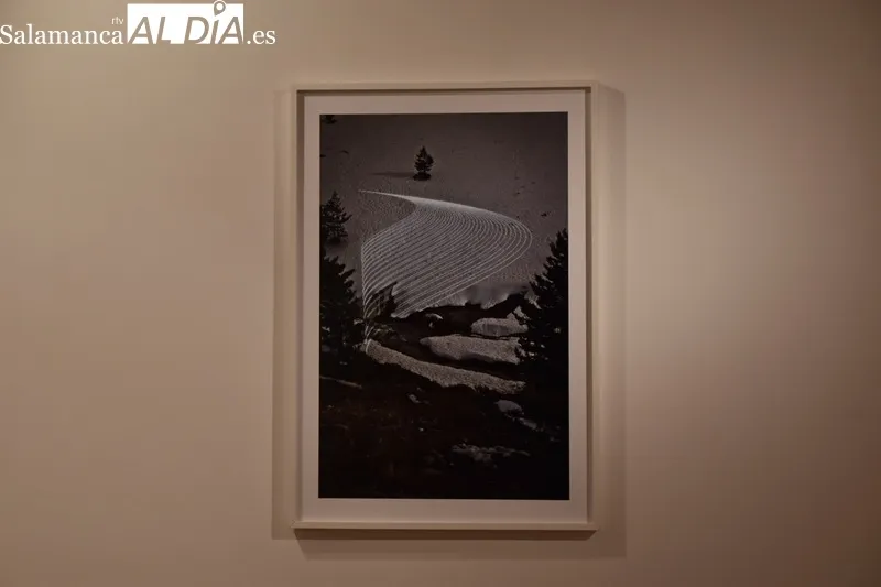 Foto 15 - &lsquo;&Aacute;rboles Blancos&rsquo;, la exposici&oacute;n que inaugura la Semana del Jap&oacute;n en Salamanca 