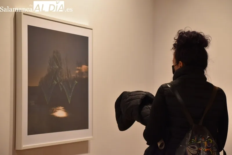 Foto 14 - &lsquo;&Aacute;rboles Blancos&rsquo;, la exposici&oacute;n que inaugura la Semana del Jap&oacute;n en Salamanca 