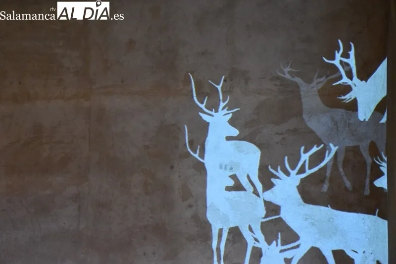 Foto 12 - &lsquo;&Aacute;rboles Blancos&rsquo;, la exposici&oacute;n que inaugura la Semana del Jap&oacute;n en Salamanca 