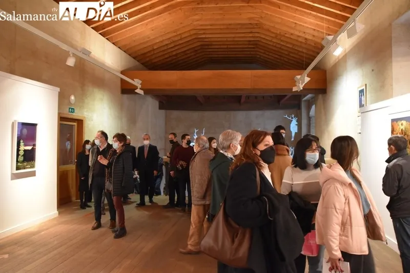 Foto 10 - &lsquo;&Aacute;rboles Blancos&rsquo;, la exposici&oacute;n que inaugura la Semana del Jap&oacute;n en Salamanca 
