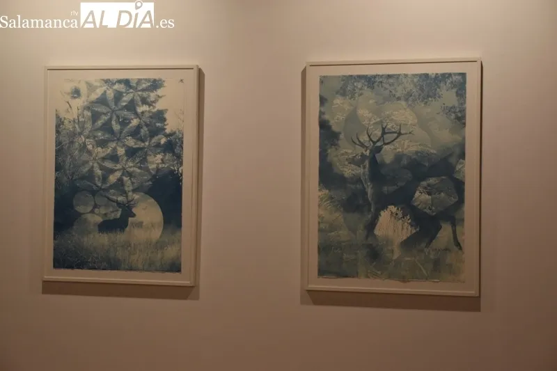 Foto 8 - &lsquo;&Aacute;rboles Blancos&rsquo;, la exposici&oacute;n que inaugura la Semana del Jap&oacute;n en Salamanca 