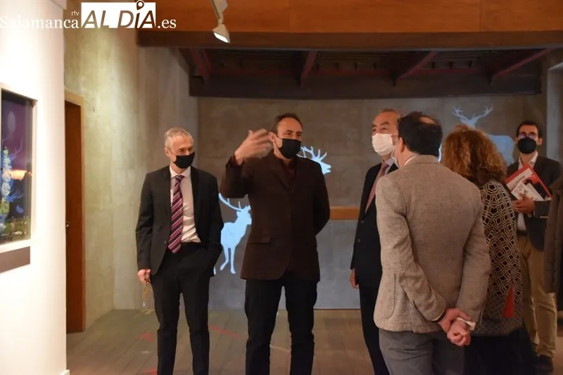 Foto 3 - &lsquo;&Aacute;rboles Blancos&rsquo;, la exposici&oacute;n que inaugura la Semana del Jap&oacute;n en Salamanca 
