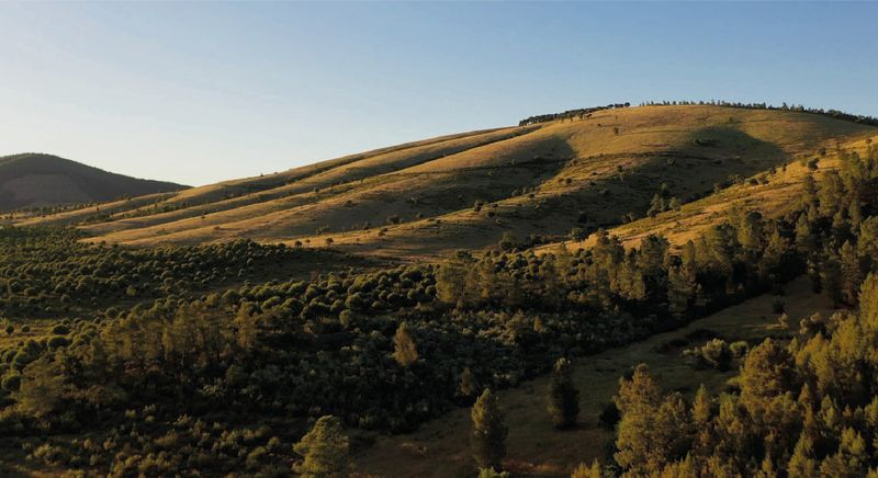 Serra de Malcata, en la frontera con Salamanca y Cáceres