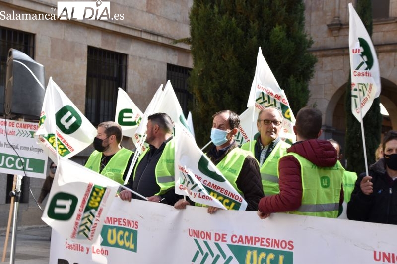 Concentración en la plaza de la Constitución de la Unión de Campesinos de Castilla y León en la provincia de Salamanca (UCCL – Salamanca). Foto de Vanesa Martins