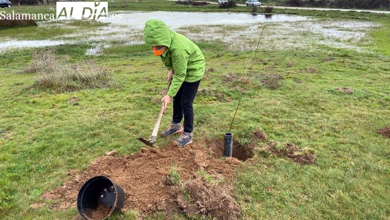 Niños y mayores participaron en la plantación de árboles en Valdeperijo