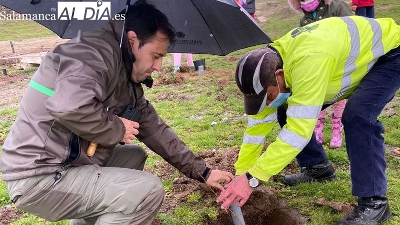 Niños y mayores participaron en la plantación de árboles en Valdeperijo