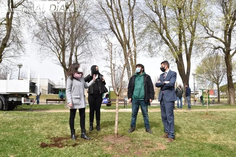 Nuevas plantaciones de árboles en el Parque de Würzburg, junto a la Avenida de Gonzalo Torrente Ballester. Foto de Vanesa Martins