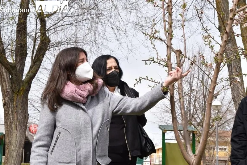 Nuevas plantaciones de árboles en el Parque de Würzburg, junto a la Avenida de Gonzalo Torrente Ballester. Foto de Vanesa Martins