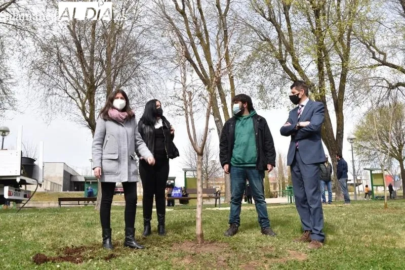 Nuevas plantaciones de árboles en el Parque de Würzburg, junto a la Avenida de Gonzalo Torrente Ballester. Foto de Vanesa Martins