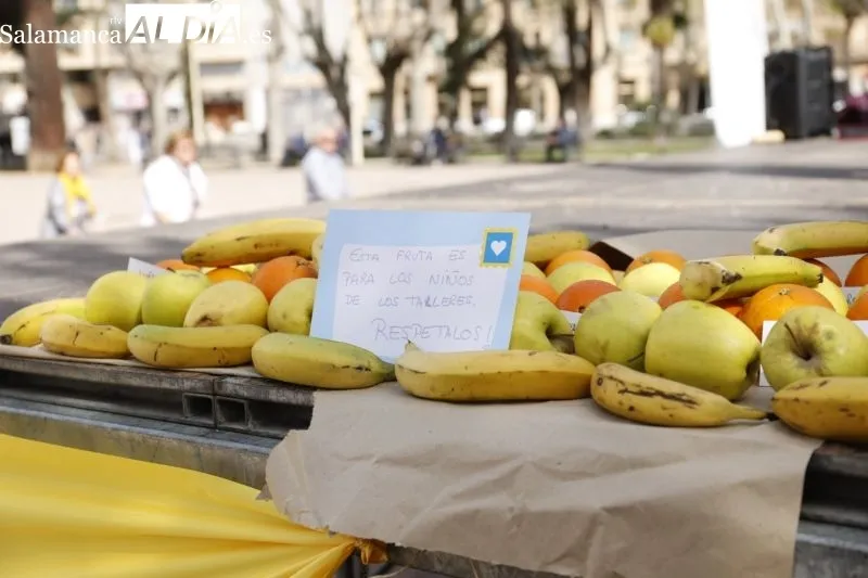 Últimas propuestas de la Fiesta de la Primavera por la Paz de Avesal - Fotos: David Sañudo