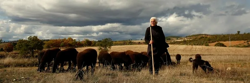 Razas autóctonas del nordeste trasmontano | Foto: AEPGA