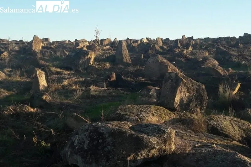 Foto 5 - La Usal promociona la fauna y flora de las Arribes en Saldeana