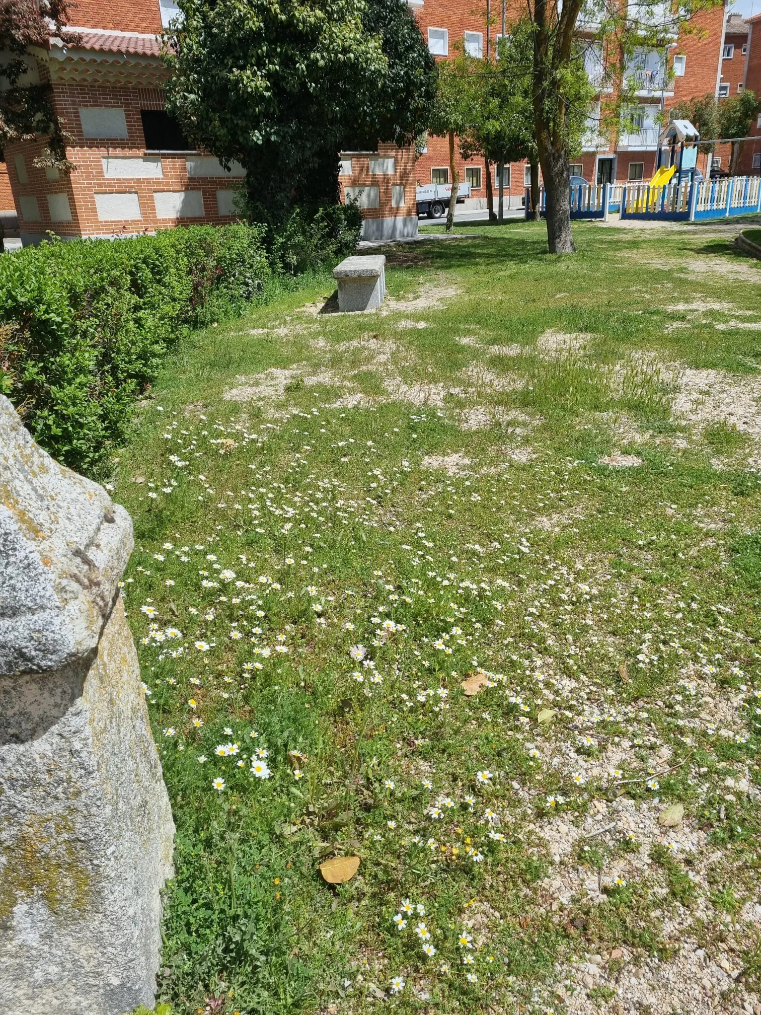 Imágenes del parque Los Jardines aportadas por el PP