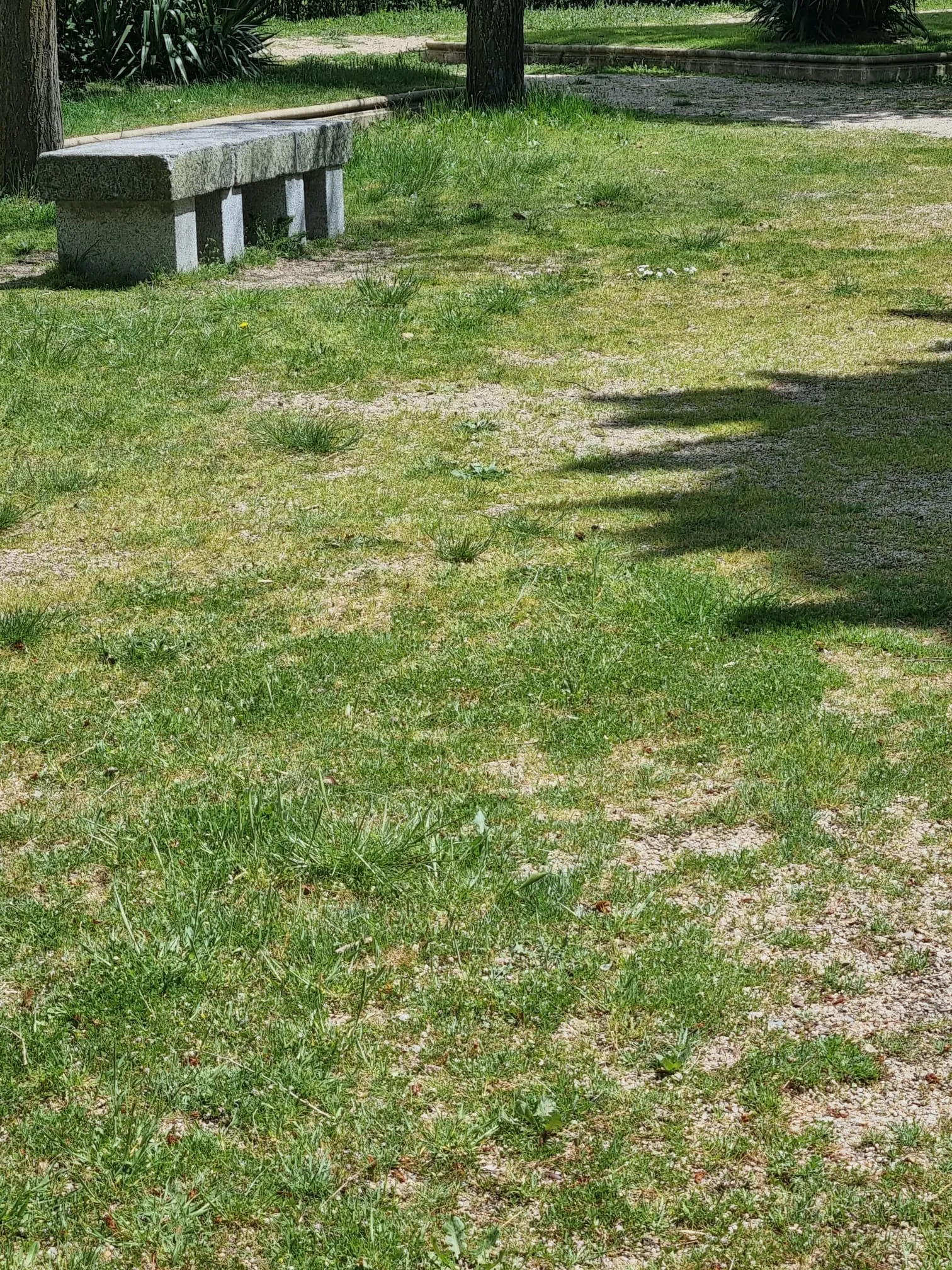 Imágenes del parque Los Jardines aportadas por el PP
