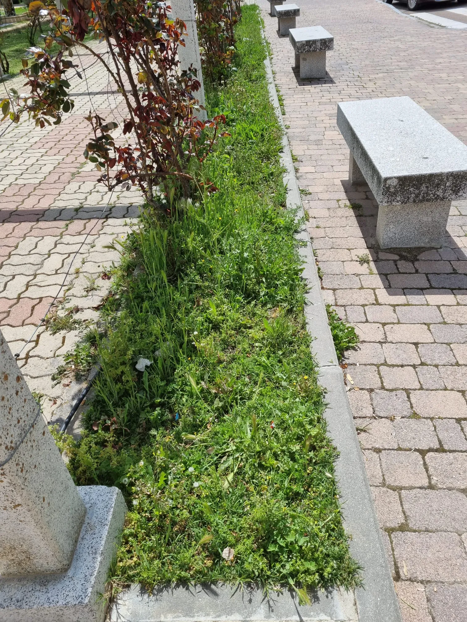 Imágenes del parque Los Jardines aportadas por el PP