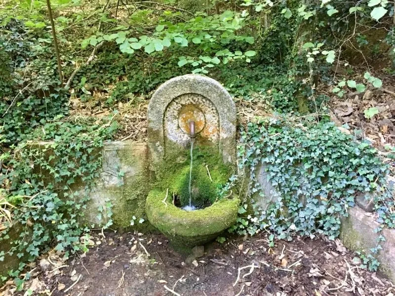 Ruta del sendero de La Honfría - Ángel Calvo