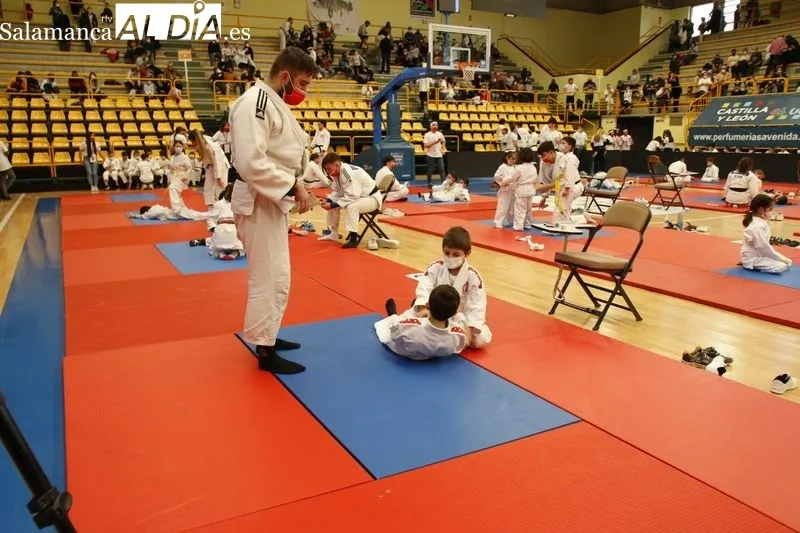 Galería de imágenes del evento / Fotos: David Sañudo