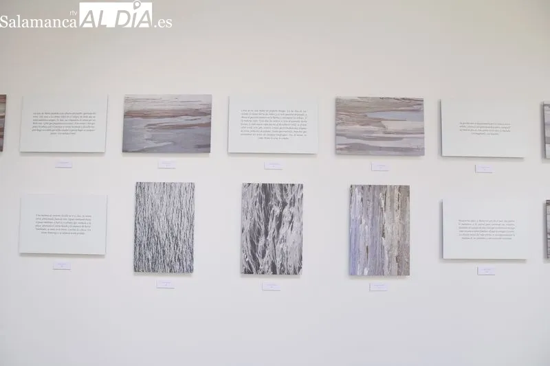 Inauguración de la exposición 'El bosque marino' en el patio de La Salina. Fotos: David Sañudo