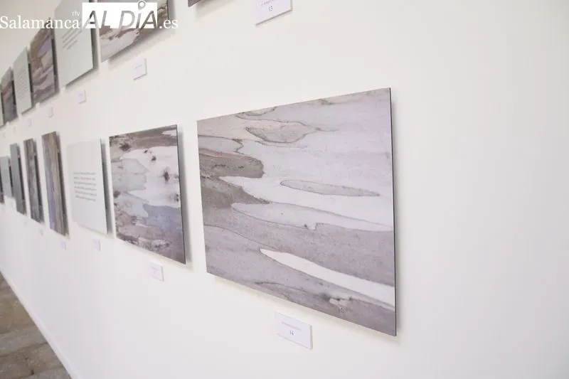 Inauguración de la exposición 'El bosque marino' en el patio de La Salina. Fotos: David Sañudo