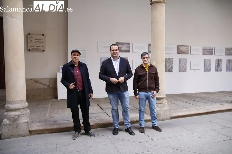 Inauguración de la exposición 'El bosque marino' en el patio de La Salina. Fotos: David Sañudo