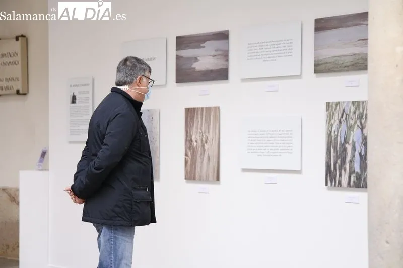 Inauguración de la exposición 'El bosque marino' en el patio de La Salina. Fotos: David Sañudo