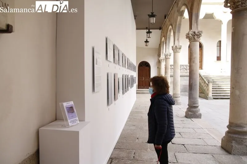 Inauguración de la exposición 'El bosque marino' en el patio de La Salina. Fotos: David Sañudo