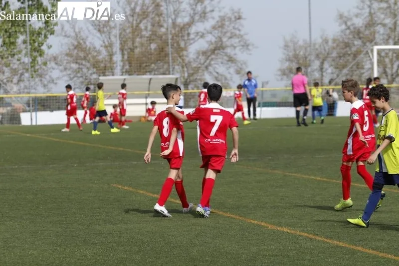 Galería de imágenes del Helmántico - Navega de Primera Alevín / Fotos: David Sañudo
