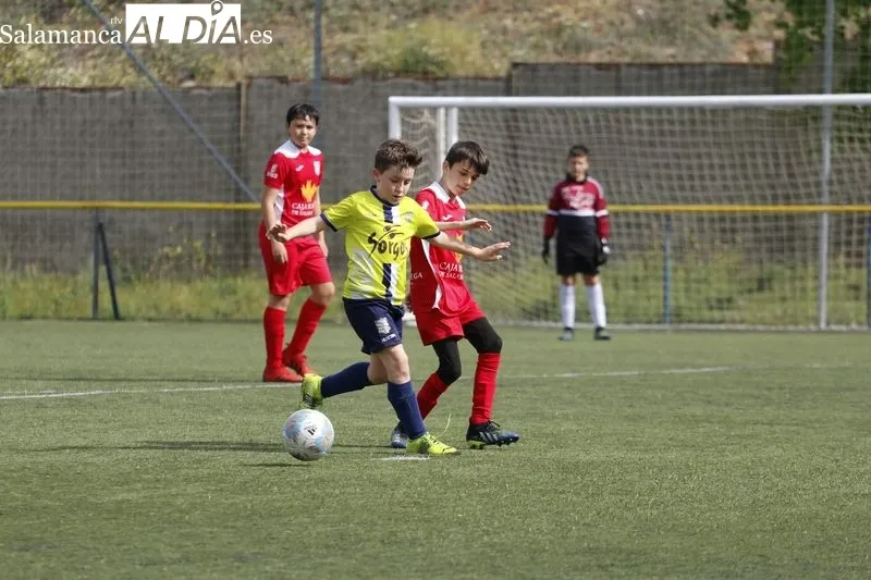Galería de imágenes del Helmántico - Navega de Primera Alevín / Fotos: David Sañudo