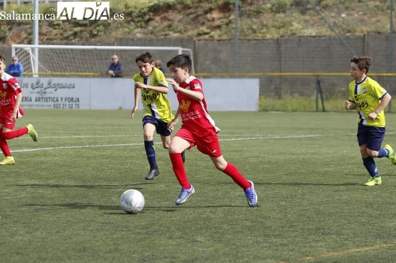 Galería de imágenes del Helmántico - Navega de Primera Alevín / Fotos: David Sañudo