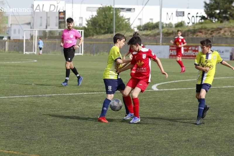 Galería de imágenes del Helmántico - Navega de Primera Alevín / Fotos: David Sañudo