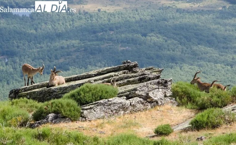 Imágenes de la Peña de Francia | FOTOS: Manuel Lamas