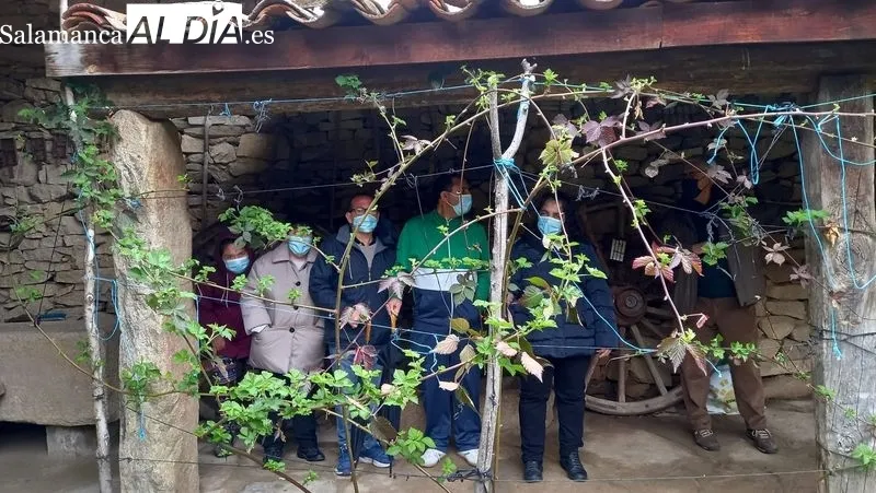 Los chicos de Asprodes en la casa museo El Pereduz