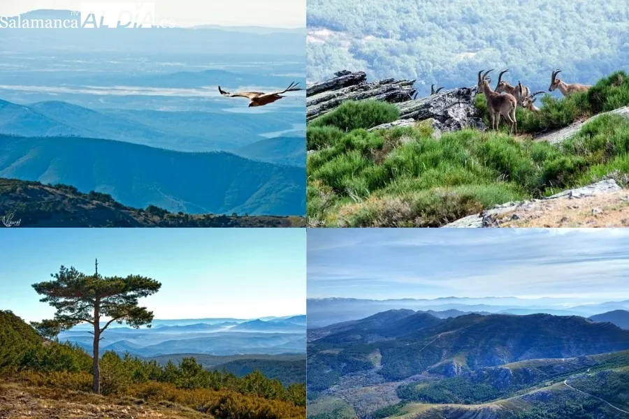 Foto 2 - La Pe&ntilde;a de Francia en im&aacute;genes: el rinc&oacute;n imprescindible que te espera esta primavera