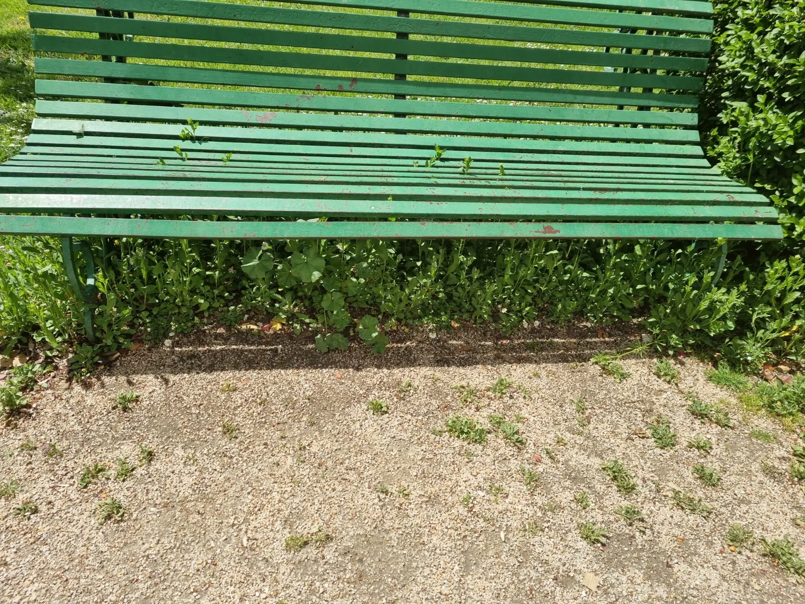Imágenes del parque Los Jardines aportadas por el PP