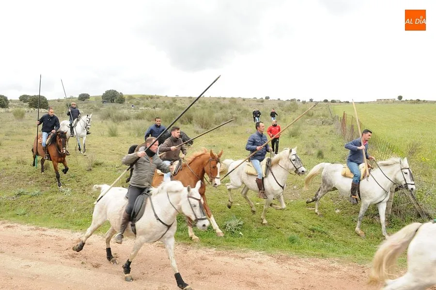 Los encierros a caballo son los espectáculos estrella de la comarca mirobrigense/ Rep:Gráfico: Adrián M. Pastor