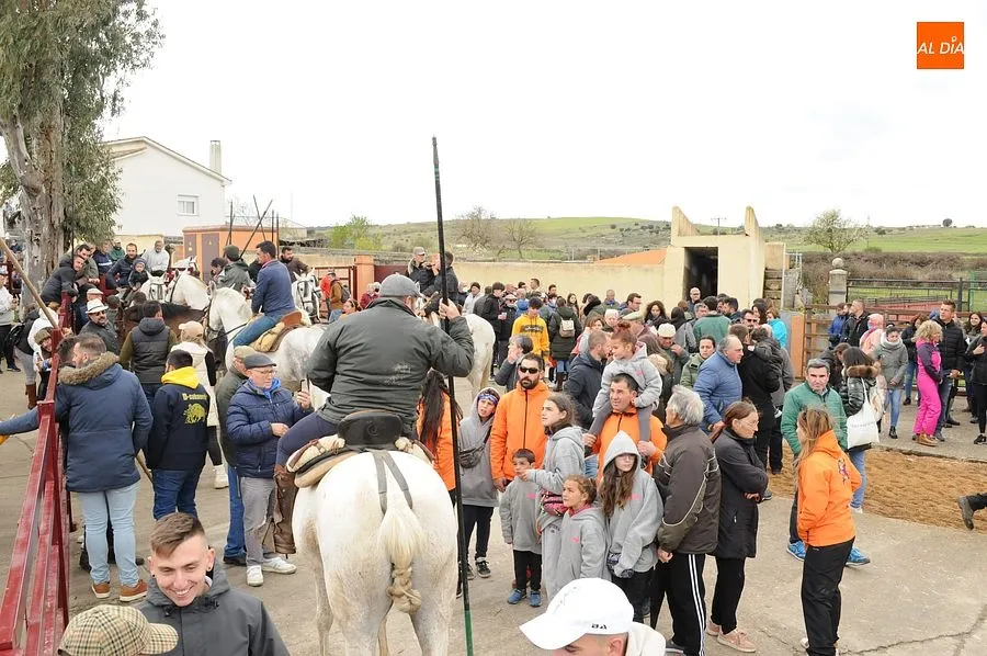 Los encierros a caballo son los espectáculos estrella de la comarca mirobrigense/ Rep:Gráfico: Adrián M. Pastor