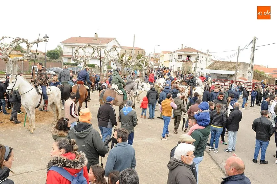 Los encierros a caballo son los espectáculos estrella de la comarca mirobrigense/ Rep:Gráfico: Adrián M. Pastor