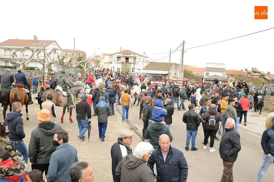 Los encierros a caballo son los espectáculos estrella de la comarca mirobrigense/ Rep:Gráfico: Adrián M. Pastor