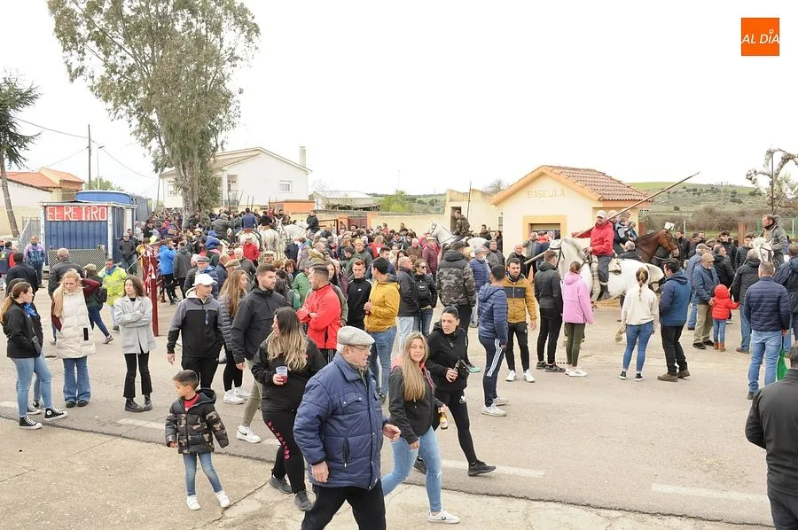 Los encierros a caballo son los espectáculos estrella de la comarca mirobrigense/ Rep:Gráfico: Adrián M. Pastor