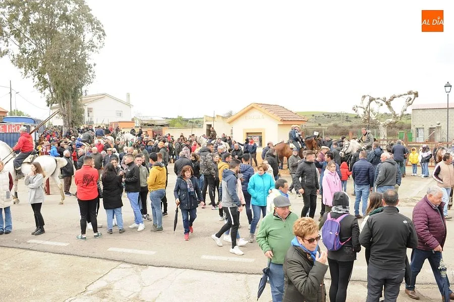 Los encierros a caballo son los espectáculos estrella de la comarca mirobrigense/ Rep:Gráfico: Adrián M. Pastor